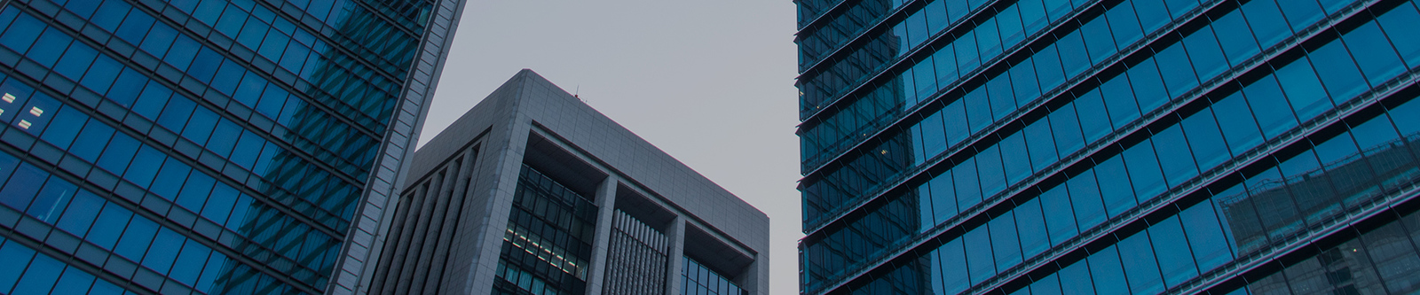 الصين Shenzhen Xiaohongbao Technology Co., Ltd. ملف الشركة 